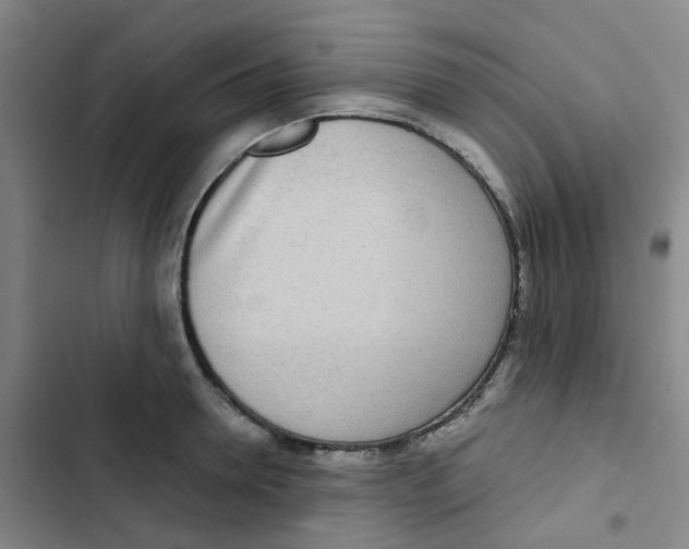 X0000102850946200809151124