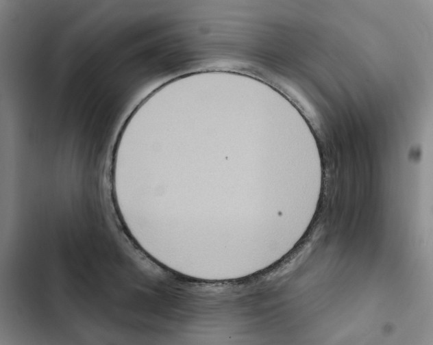 X0000102850948200809151124