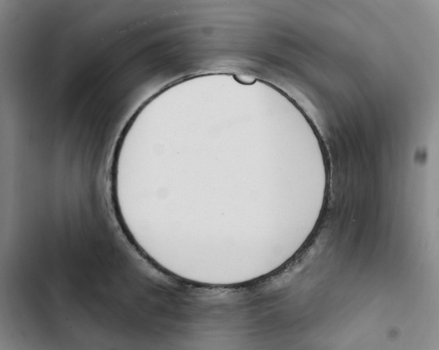 X0000102850949200809151124