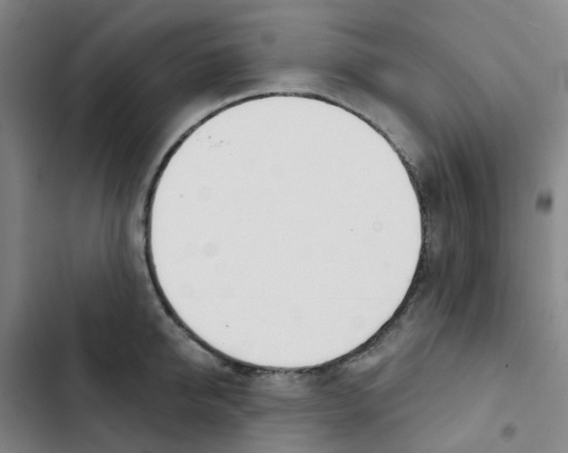 X0000102850950200809151124