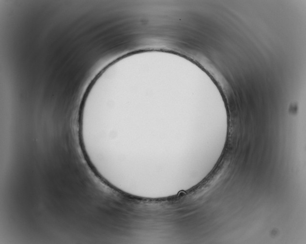 X0000102850951200809151124