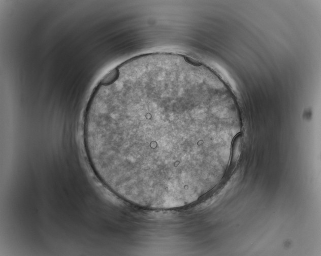 X0000102850952200809151124