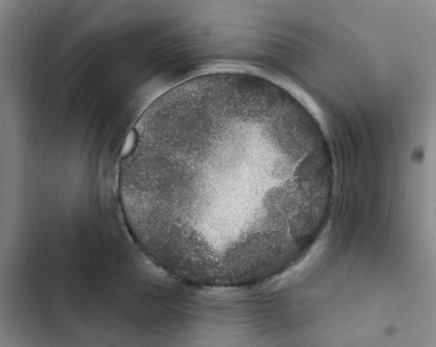 X0000102850953200809151124