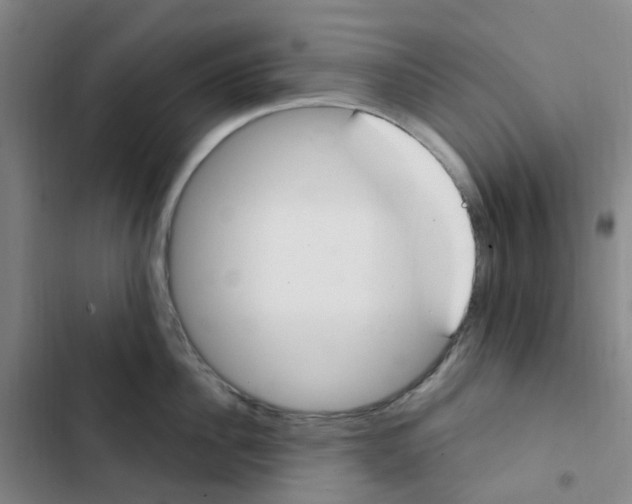 X0000102850956200809151124