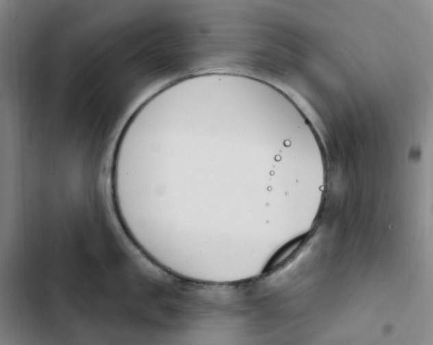 X0000102850957200809151124