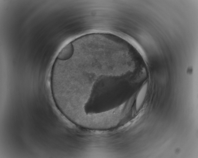 X0000102850958200809151124