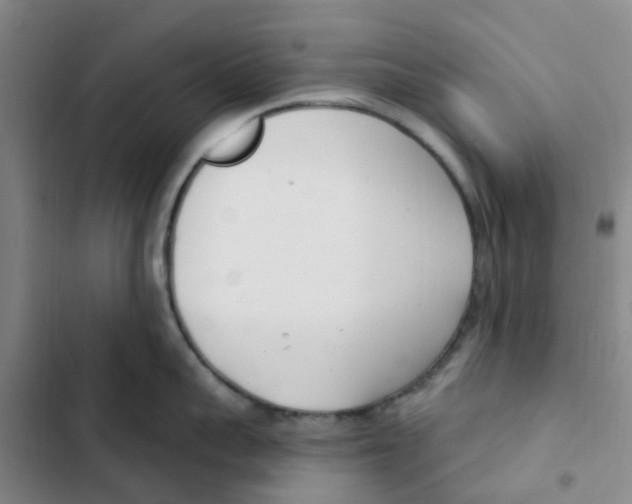 X0000102850959200809151124