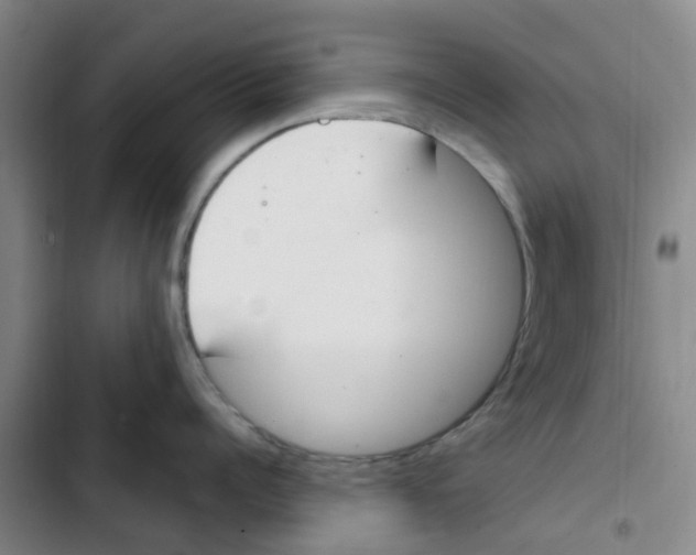 X0000102850960200809151124