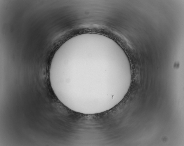 X0000102850966200809151123