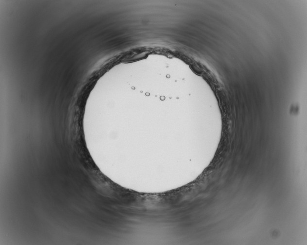 X0000102850968200809151123