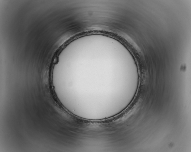 X0000102850969200809151123