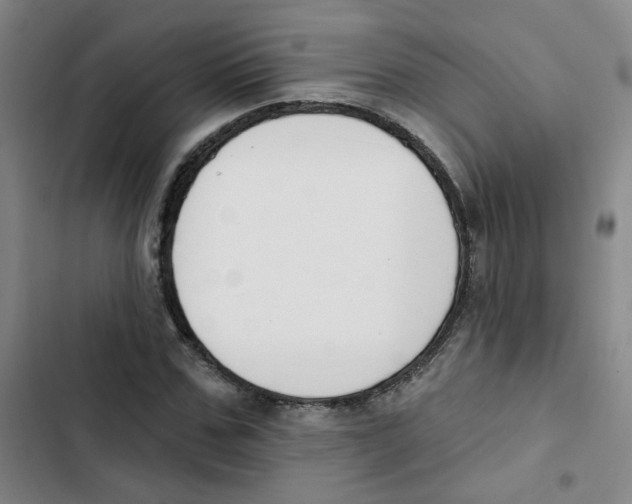 X0000102850971200809151123