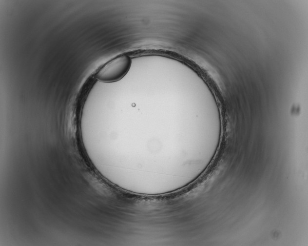 X0000102850973200809151123