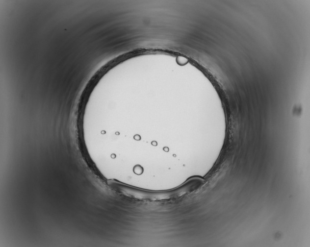 X0000102850976200809151123