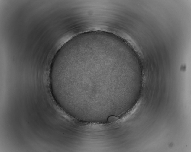 X0000102850977200809151123