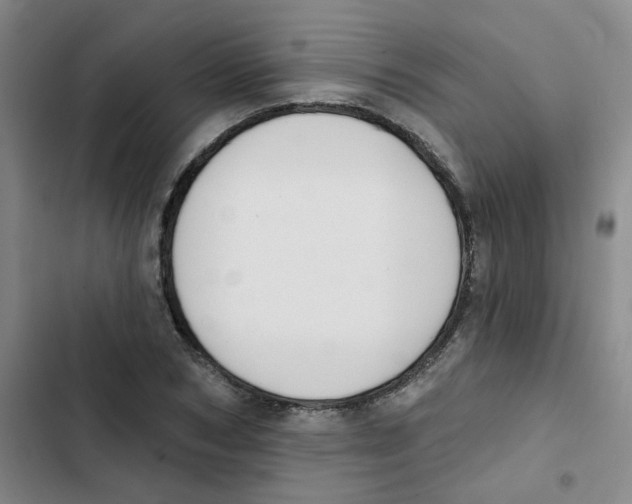 X0000102850978200809151123