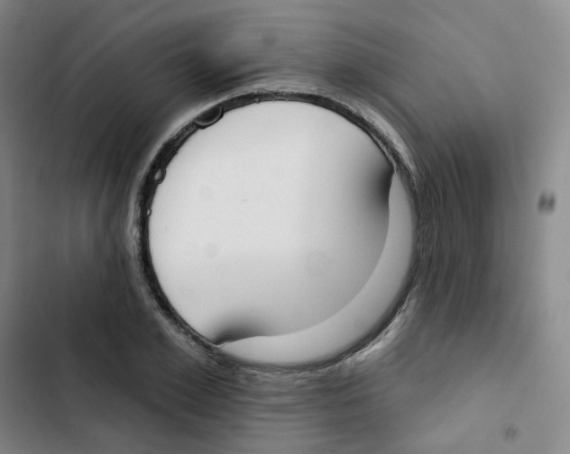 X0000102850981200809151123