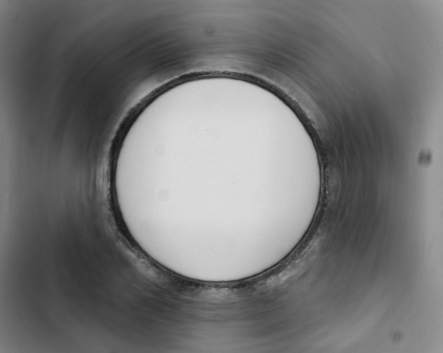 X0000102850982200809151123