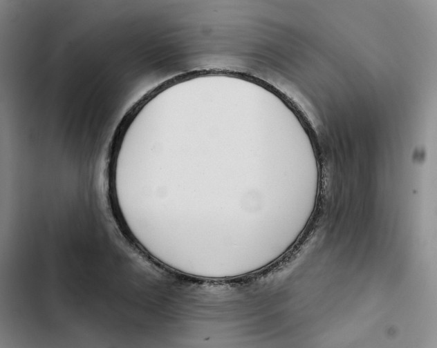 X0000102850983200809151123