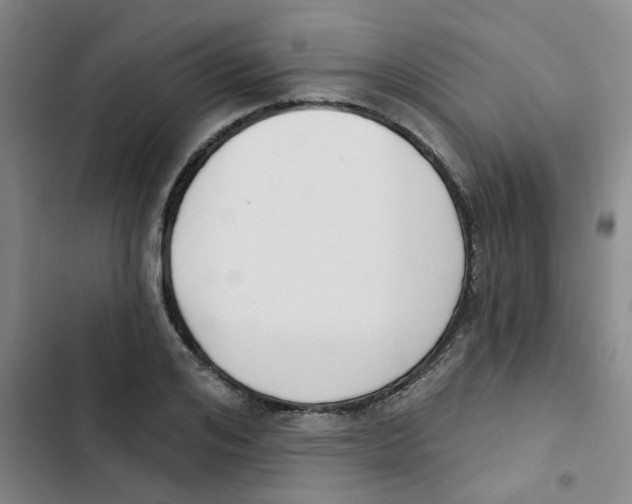 X0000102850984200809151123