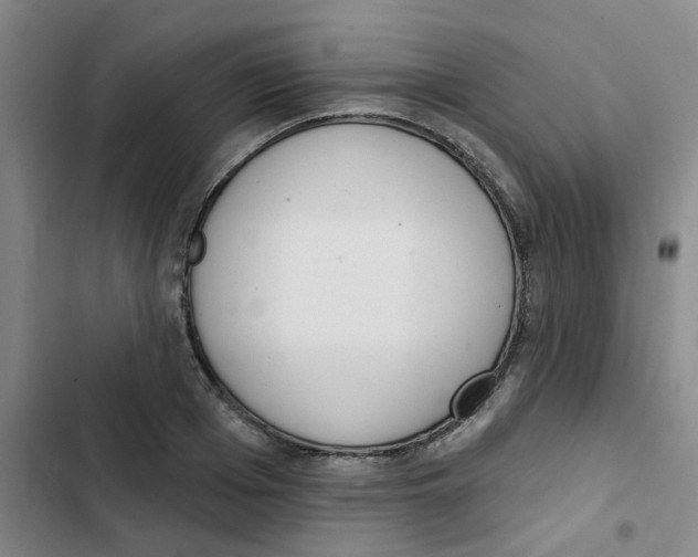 X0000102850985200809151123