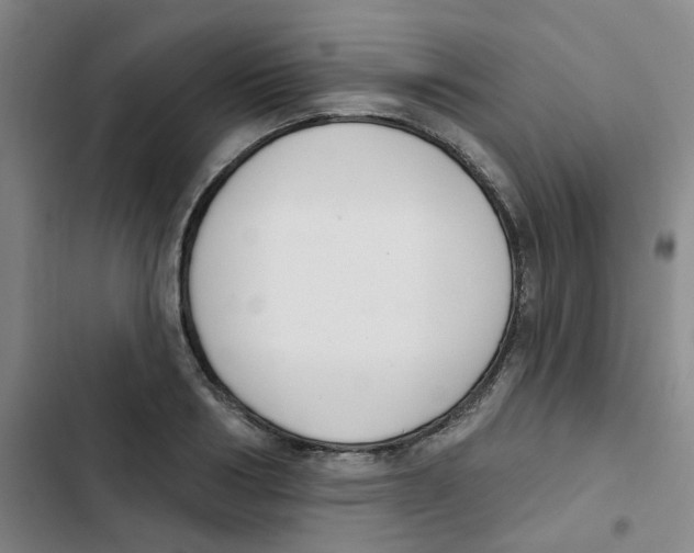 X0000102850986200809151123