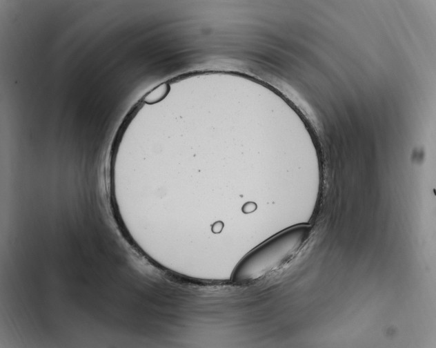 X0000102850988200809151123