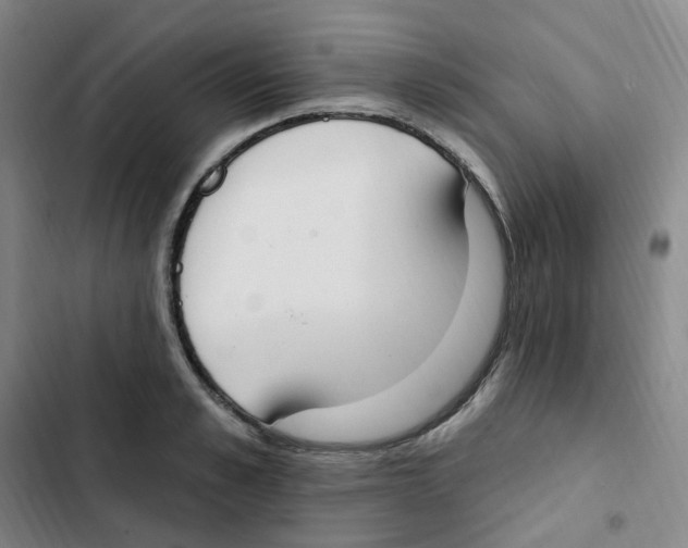 X0000102850989200809151123