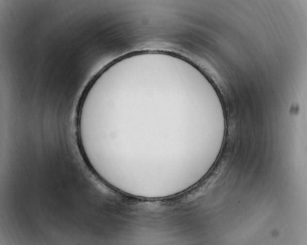 X0000102850990200809151123