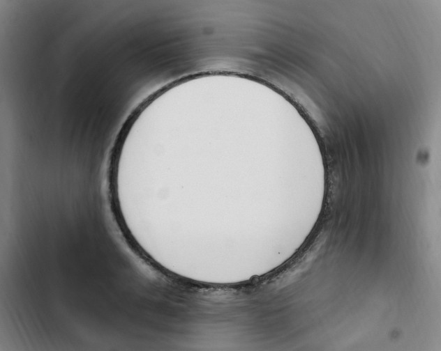 X0000102850991200809151123