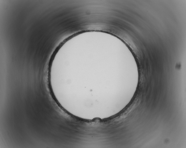 X0000102850992200809151123