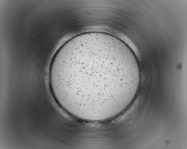 X0000102850994200809151123