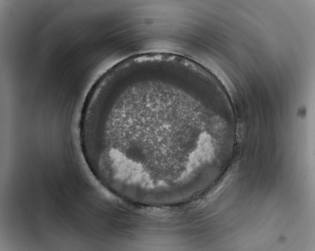 X0000102850995200809151123