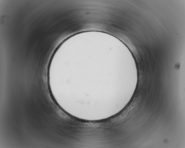 X0000102850996200809151123