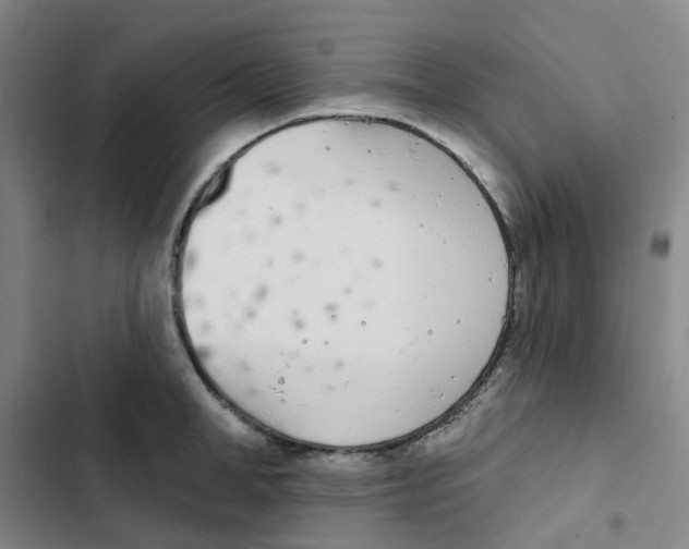 X0000102850998200809151123