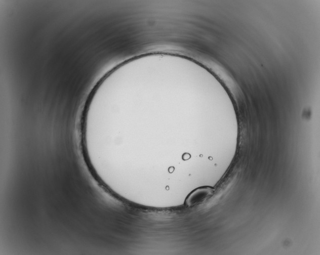 X0000102850999200809151123