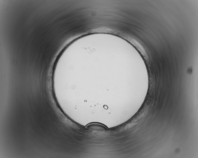 X0000102851000200809151123