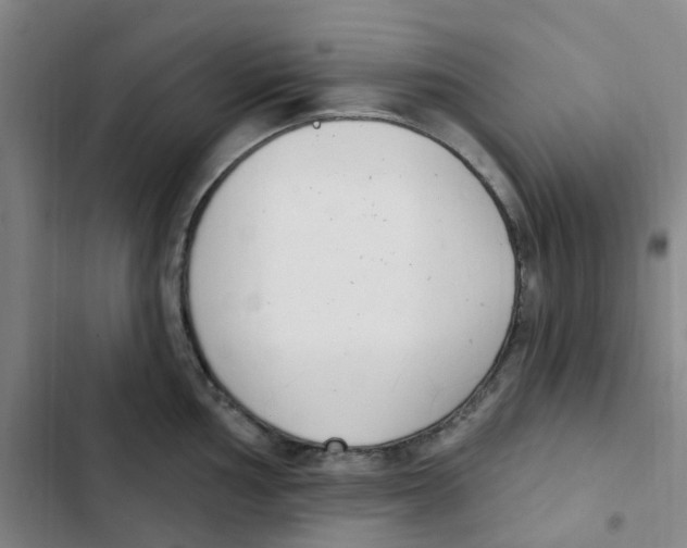 X0000102851002200809151123