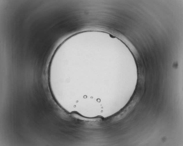 X0000102851004200809151123