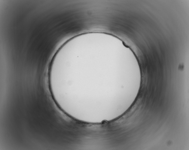 X0000102851006200809151123