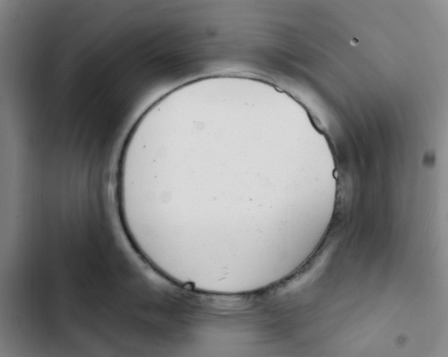 X0000102851007200809151123