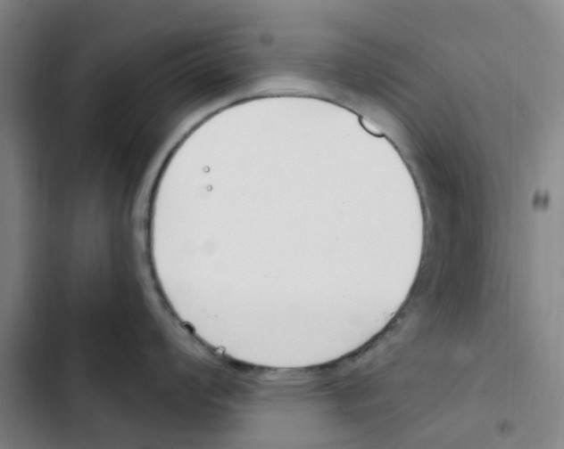 X0000102851008200809151123