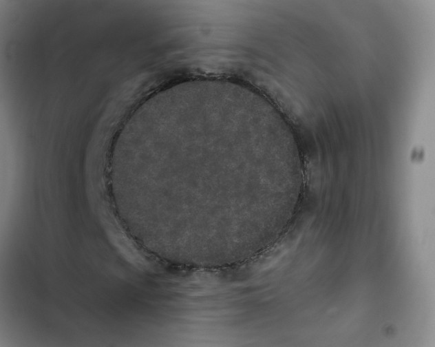 X0000102851009200809151122