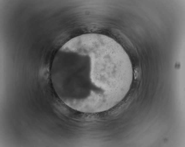 X0000102851011200809151122