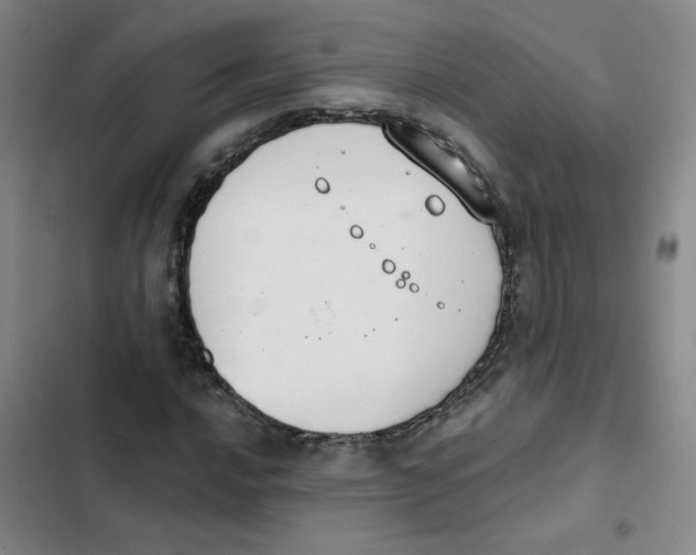 X0000102851016200809151122