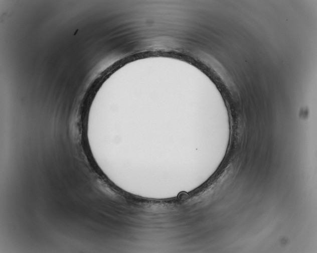 X0000102851018200809151122