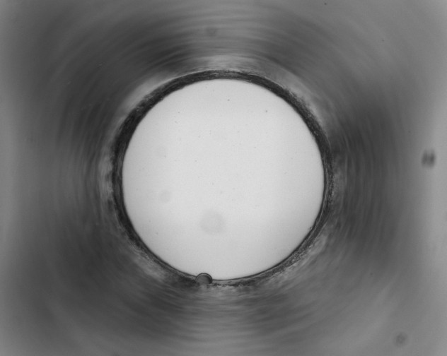 X0000102851019200809151122