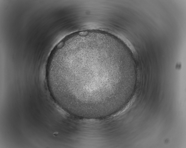 X0000102851023200809151122