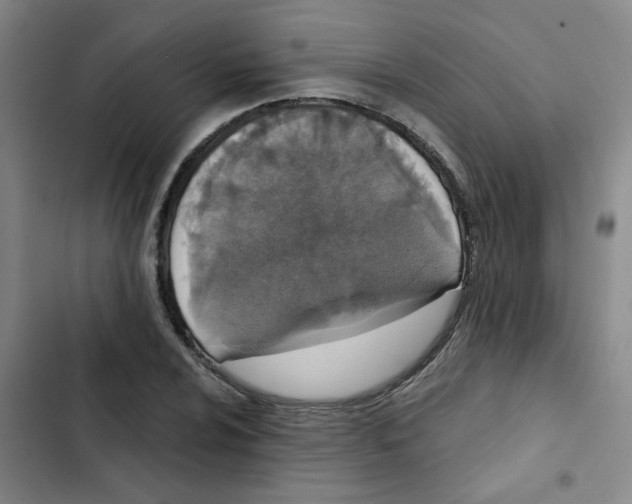 X0000102851024200809151122