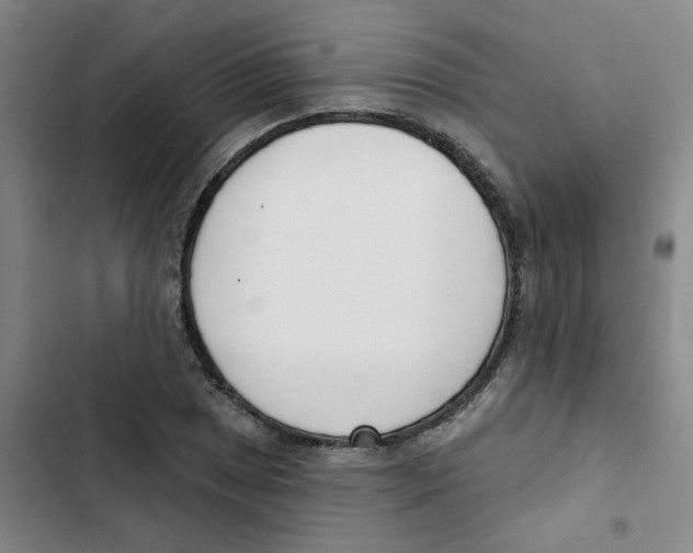 X0000102851025200809151122